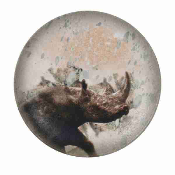 Plato llano 25cm Rinoceronte Savanna.