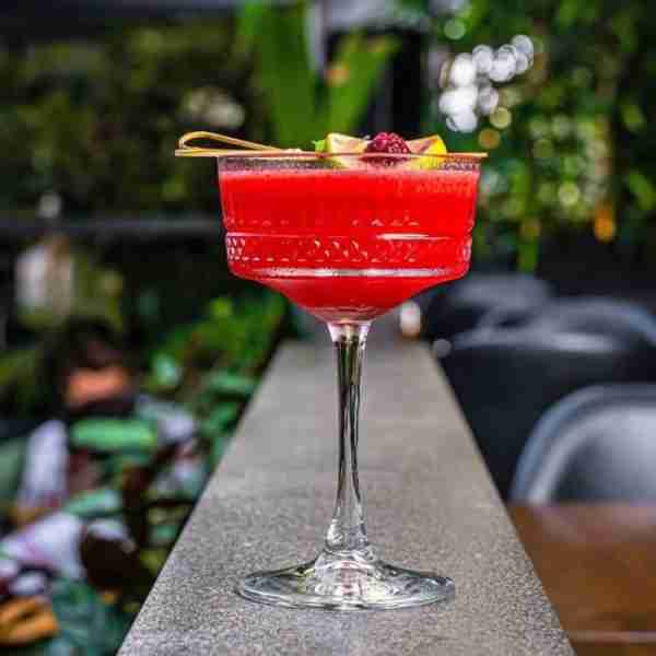 Copa champagne coupe Elysia 26cl. - Imagen 2