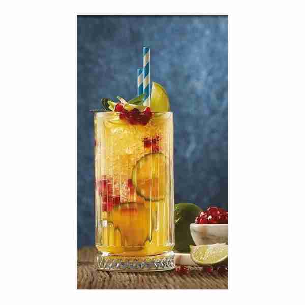 Vaso Elysia Long Drink 44.5cl. - Imagen 2