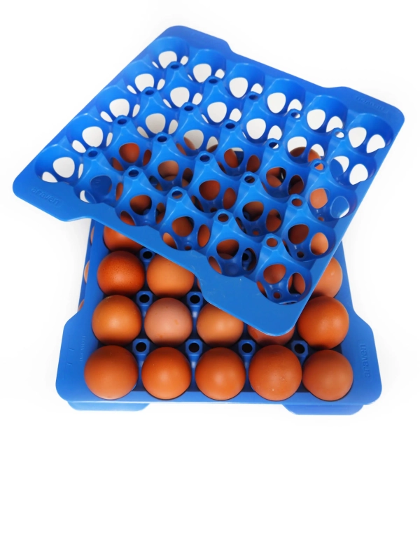 Contenedor portahuevos Gn 2/3 - Imagen 4